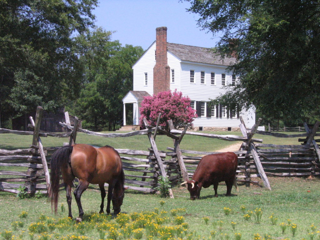 Latta Plantation Reserve