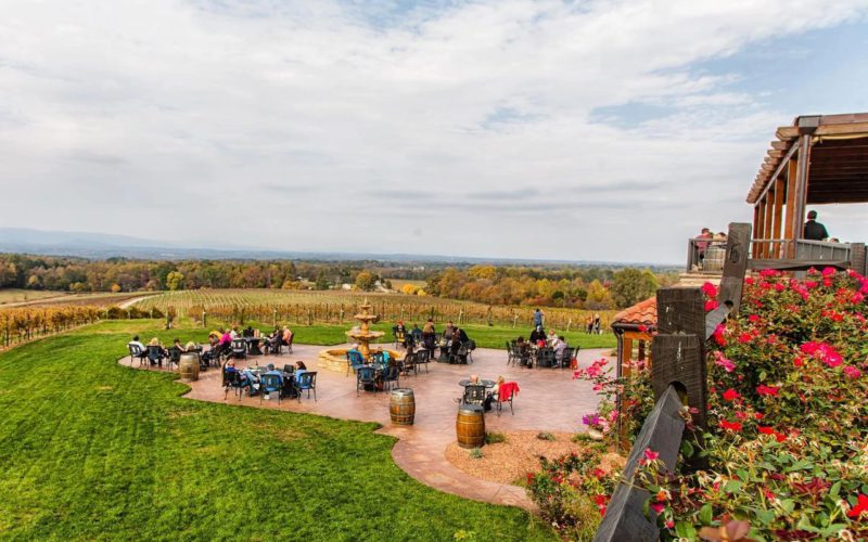 12 Charlotte Vineyards that will blow your mind