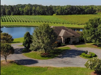 Shadow Springs Vineyard