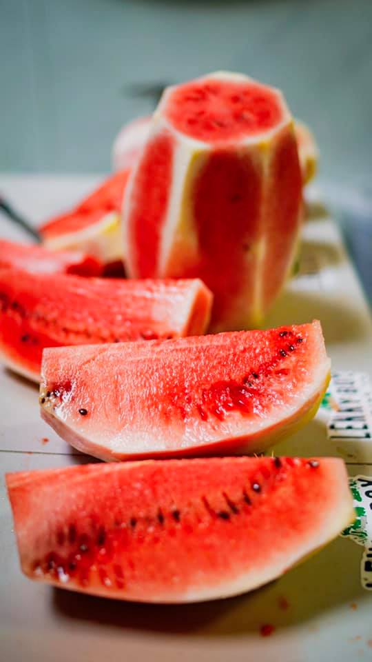 Lenny Boy Watermelon Fest